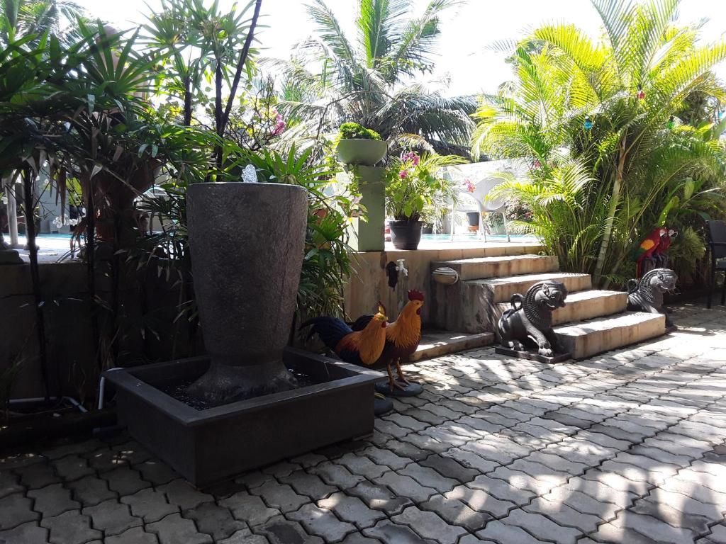 Karl Holiday Bungalow фото 45