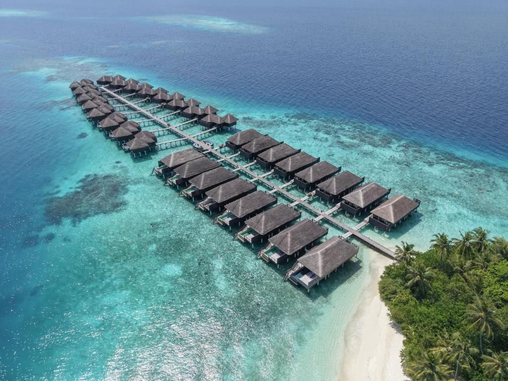 Coco Bodu Hithi фото 117