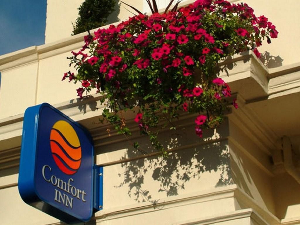 Comfort Inn Buckingham Palace Road фото 6