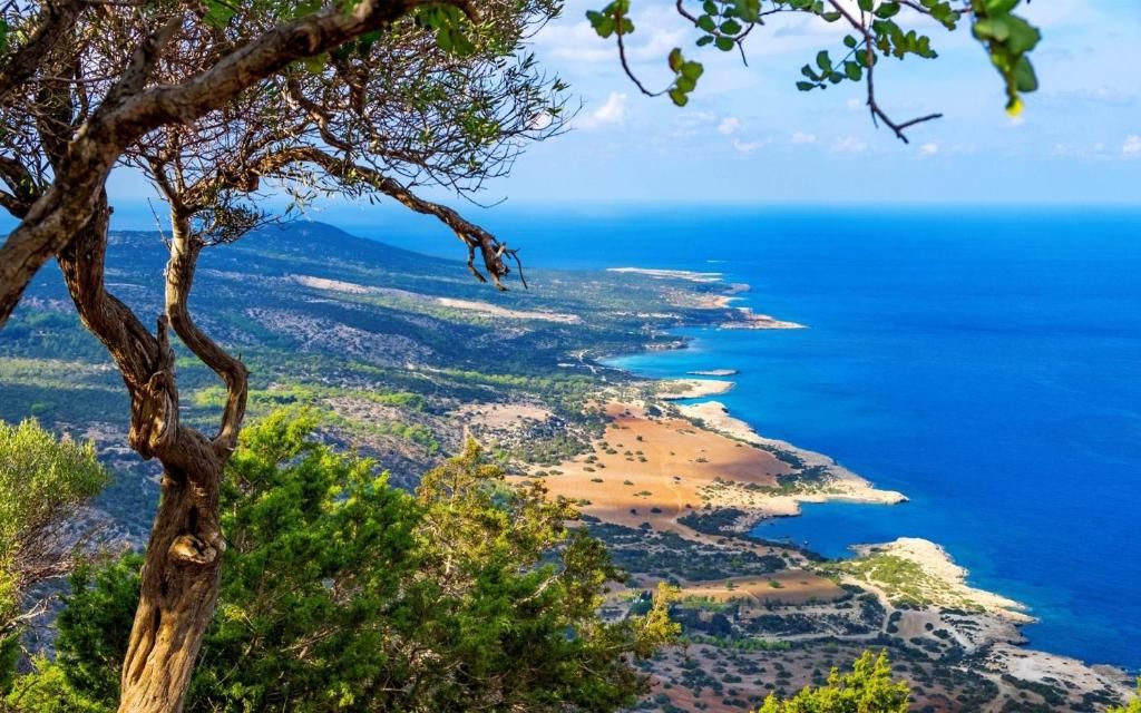 Ascos Coral Beach Hotel фото 32