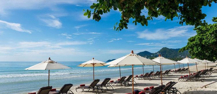 Фото отеля Poppies Samui