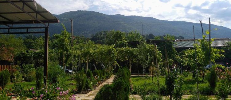 Фото отеля Ахчыпсы