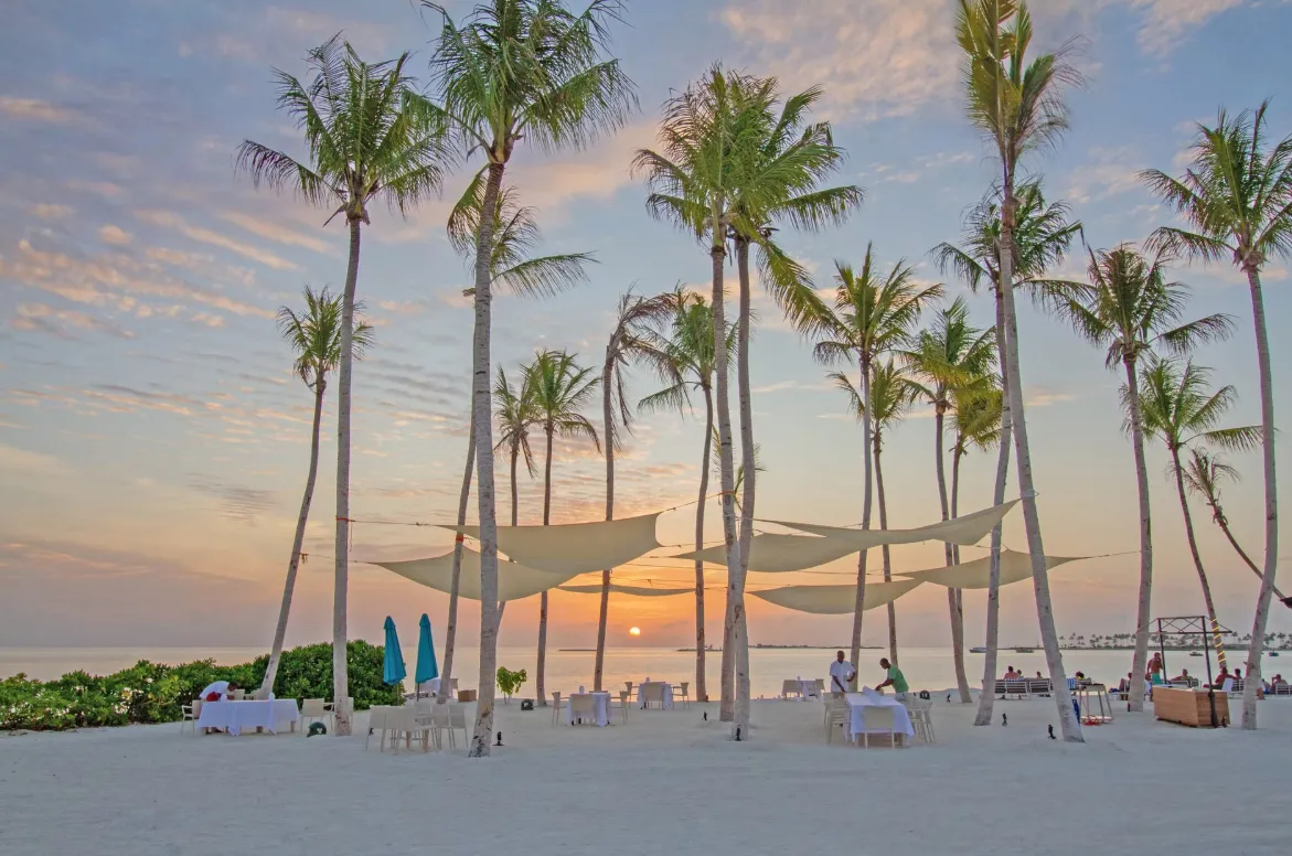 Joy Island фото 14