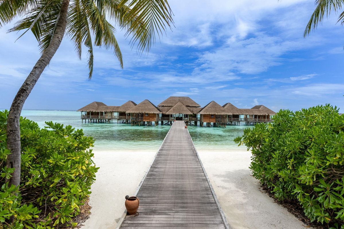 Gili Lankanfushi Maldives фото 2