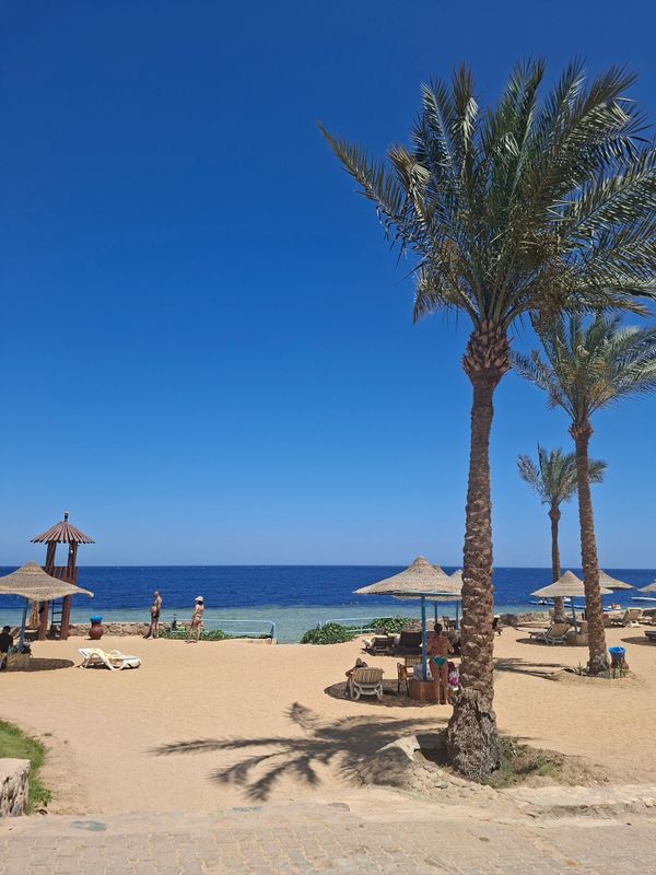 Queen Sharm Resort фото 66