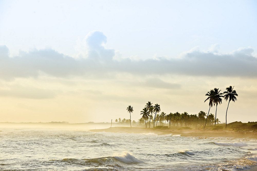 Royalton CHIC Punta Cana, An Autograph Collection All-Inclusive Resort & Casino - Adults Only фото 45