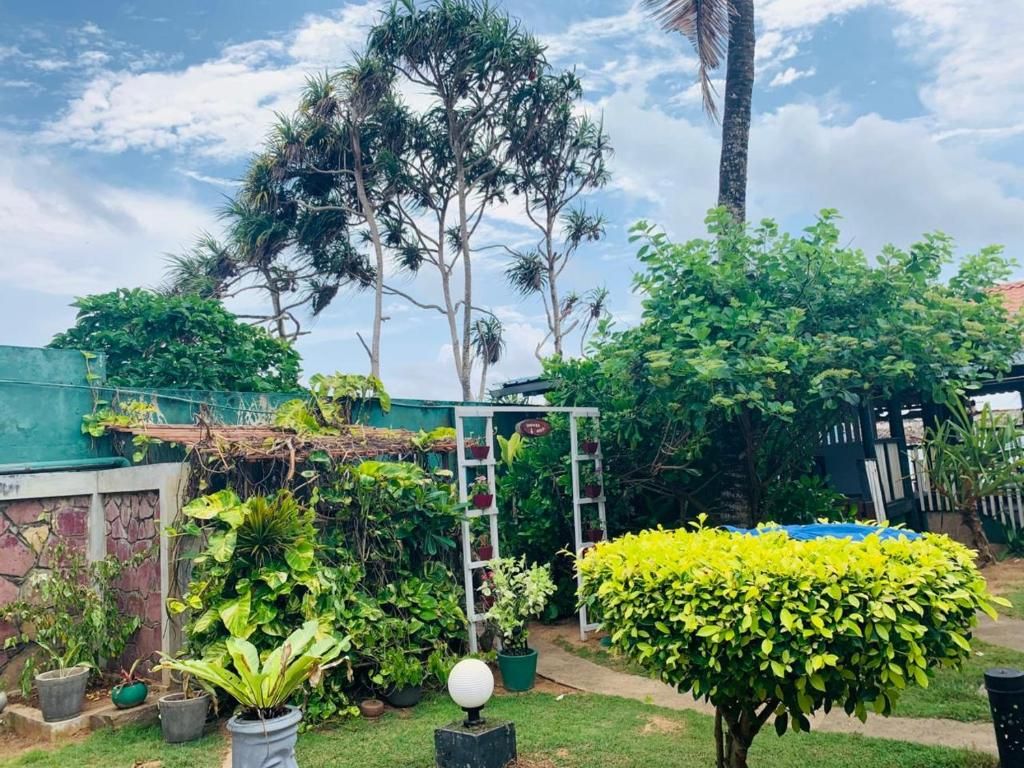 Guest House «Janus Paradise Rest Guest House» фото 32