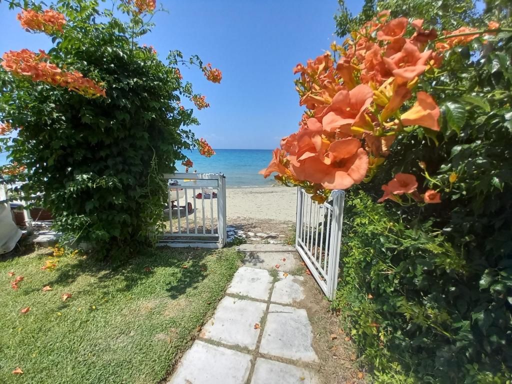 Greek Pride Evlogia Seaside фото 23