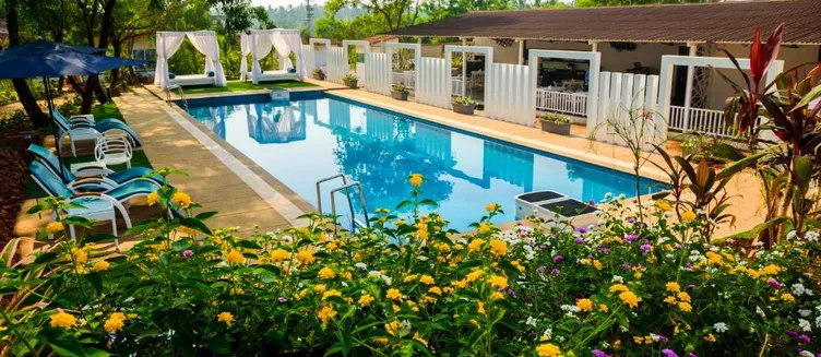 Фото отеля White Woods Resort & Spa