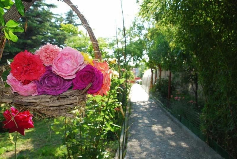 Hotel Trakia Garden фото 20