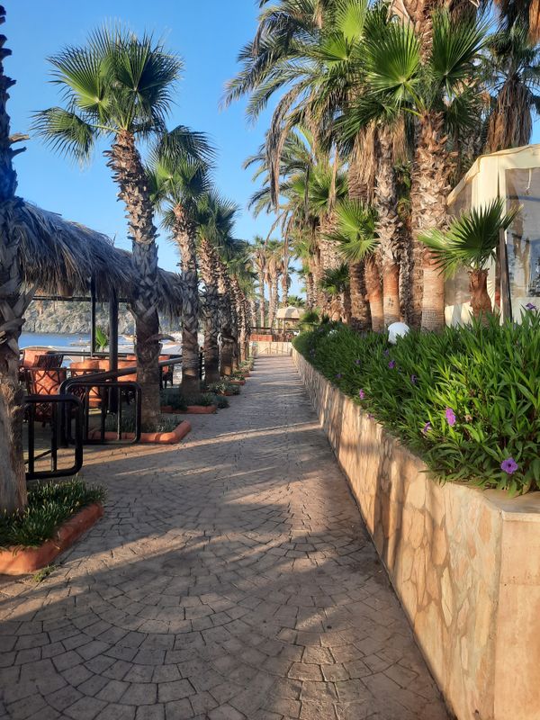 Marvida Hotel Akman Park фото 80