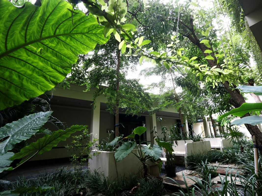 Swiss-Belhotel Rainforest фото 30