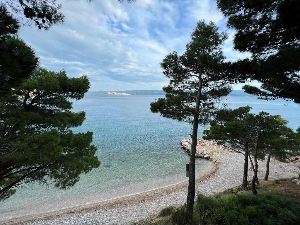Apartments Domani фото 8