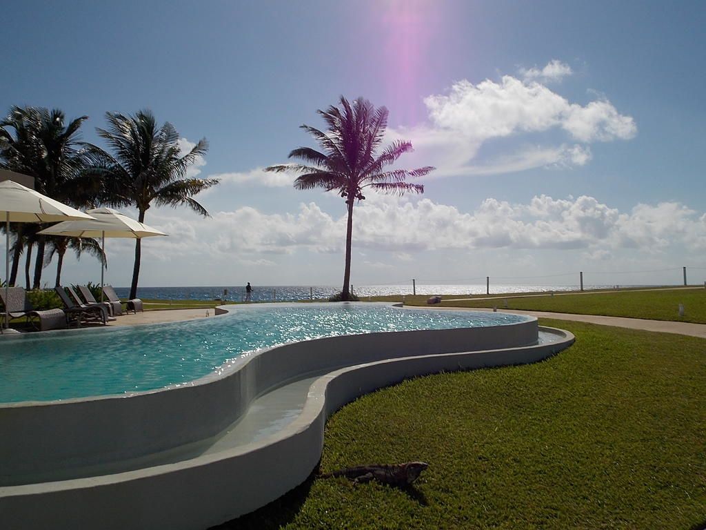 Hyatt Ziva Cancun фото 14