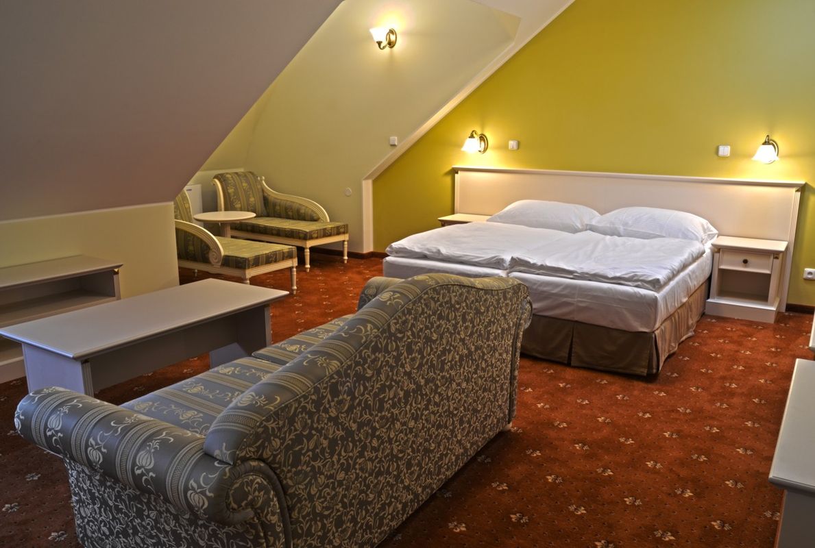 Spa Hotel Cajkovskij Palace фото 19