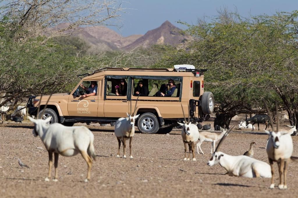 Anantara Sir Bani Yas Island Al Sahel Villa Resort фото 61