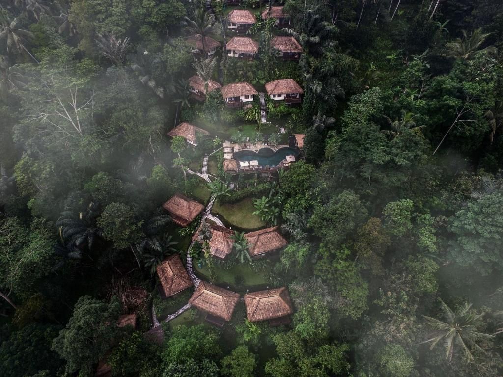 Nandini Bali Jungle & Spa фото 48