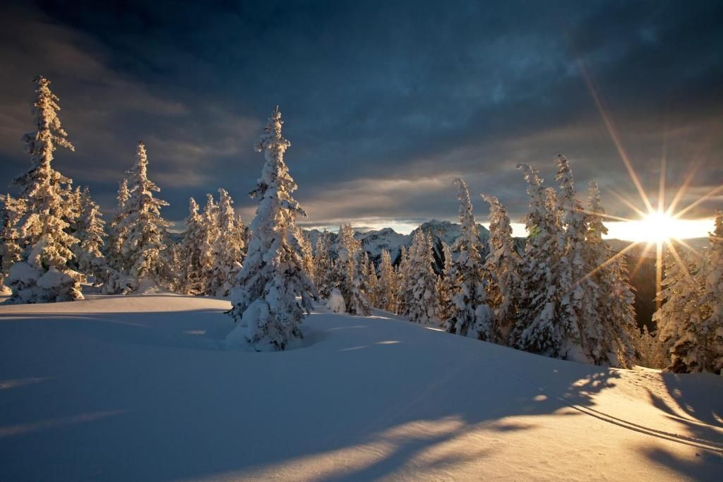 Pichlmayrgut фото 41