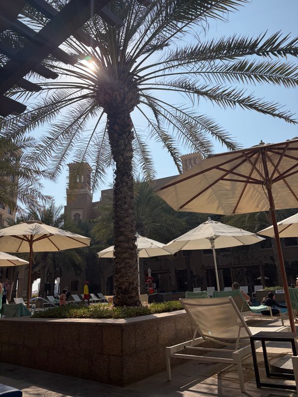 Sheraton Sharjah Beach Resort & Spa фото 51