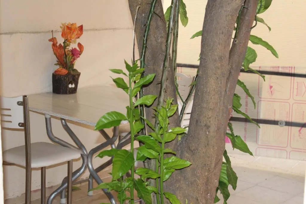 Carvan Hotel фото 20