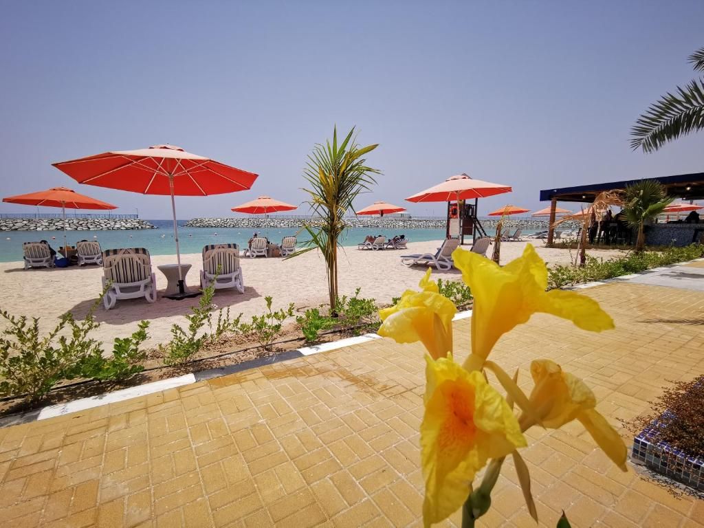 Mirage Bab Al Bahr Beach Resort фото 24