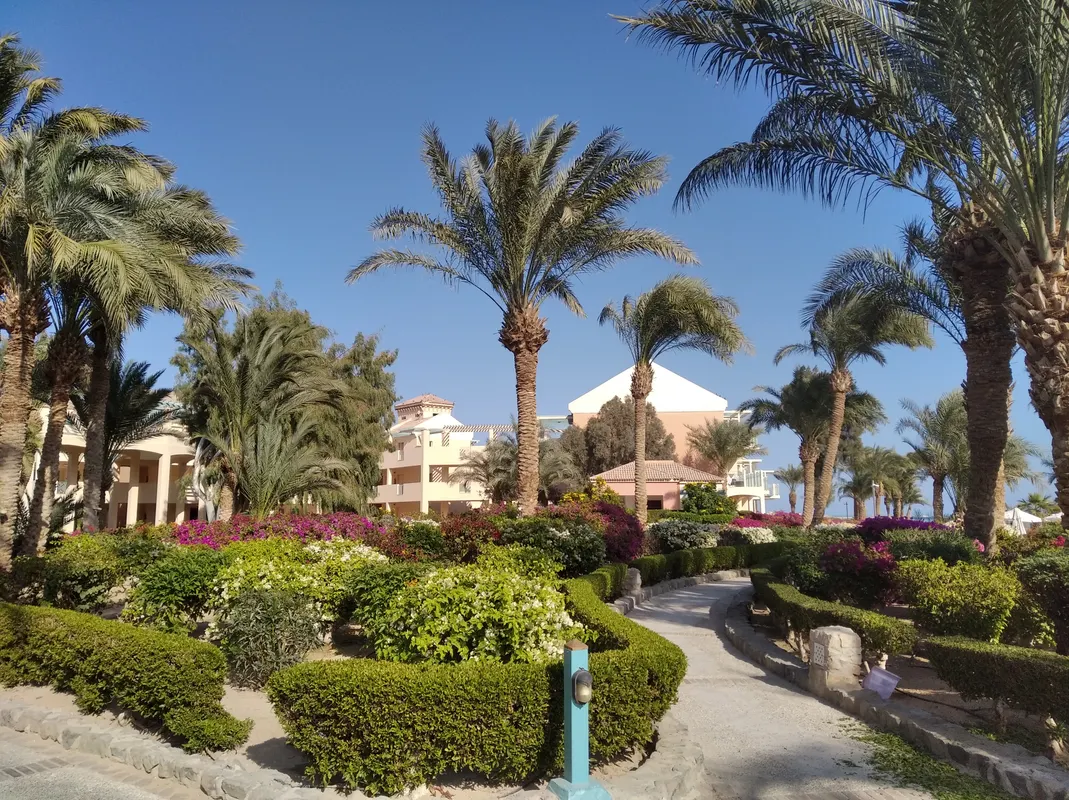 Movenpick Resort & Spa El Gouna фото 52