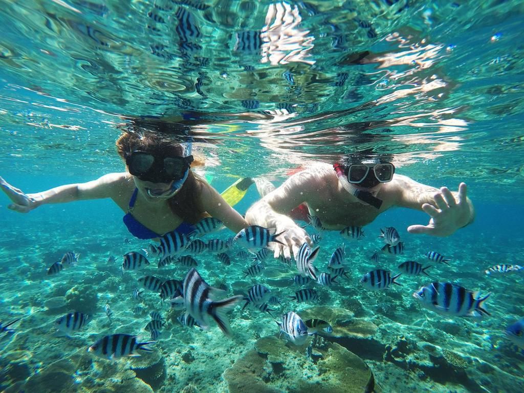 Tropica Island Resort фото 39