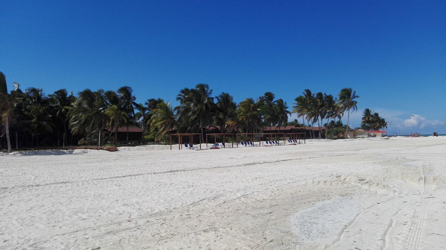 Gran Caribe Club Cayo Guillermo фото 6