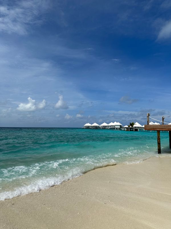 Diamonds Thudufushi Maldives фото 23