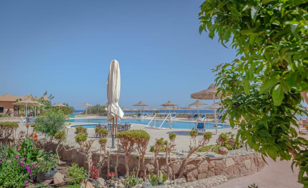 Silver Beach Redsea Resort фото 37