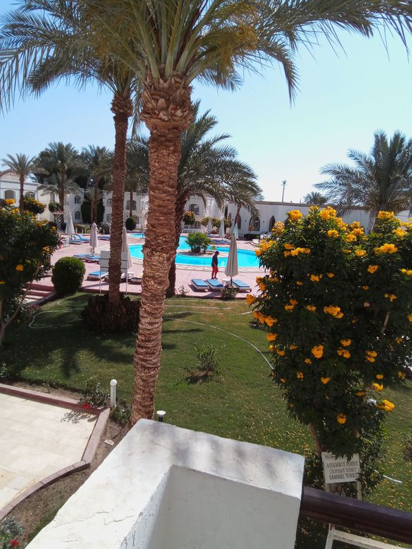 Viva Sharm Hotel фото 47