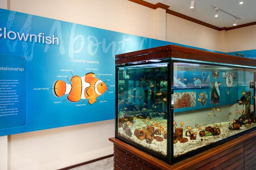 SAii Phi Phi Island Village-SHA Extra Plus фото 73