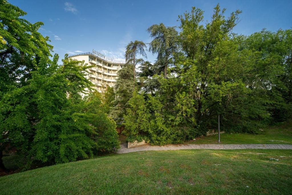 Hotel Ariston Molino Buja фото 4