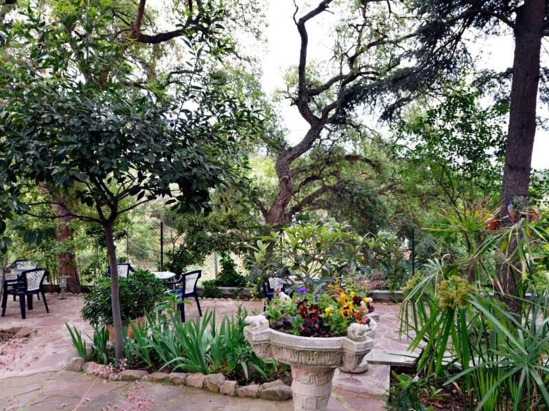 Hostal Magnolia фото 4