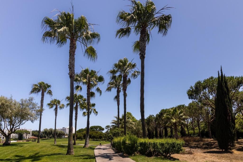 Domes Lake Algarve фото 36