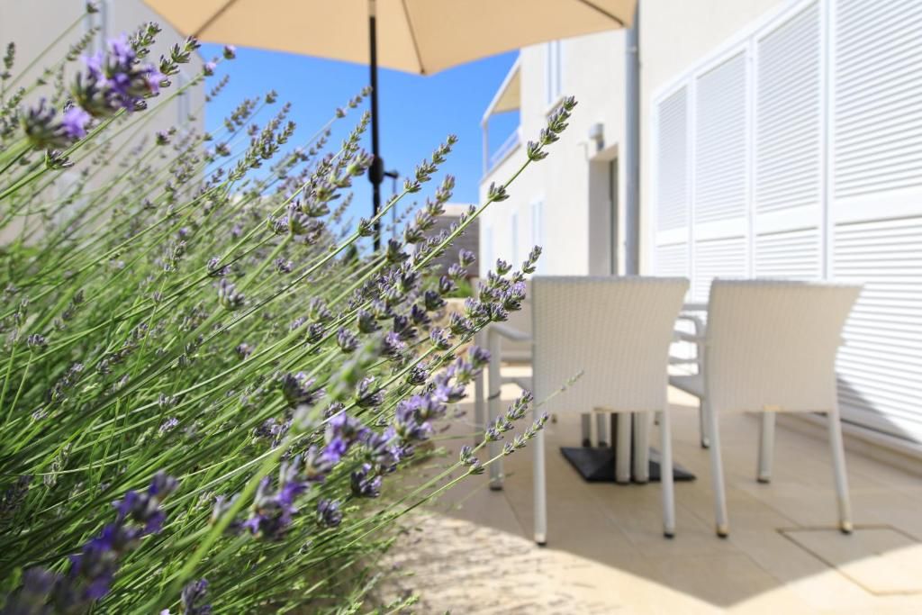 Апарт-отель «Sunnyside Apartments Petrcane» фото 9