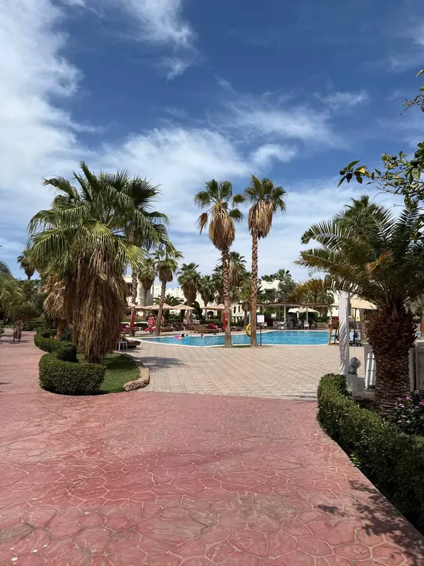 Amphoras Aqua Hotel (Adults Only) фото 40
