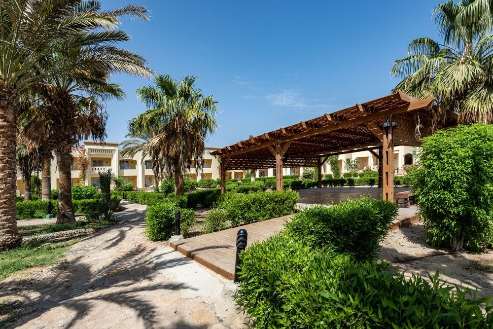 Blue Reef Red Sea Resort фото 37