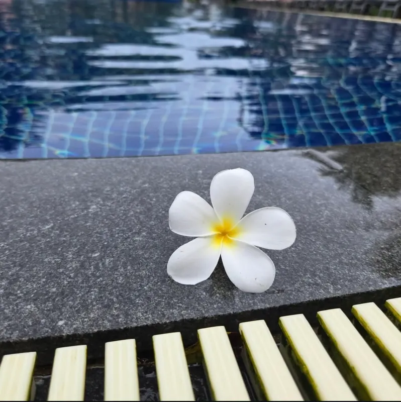 Sunwing Kamala Beach фото 81