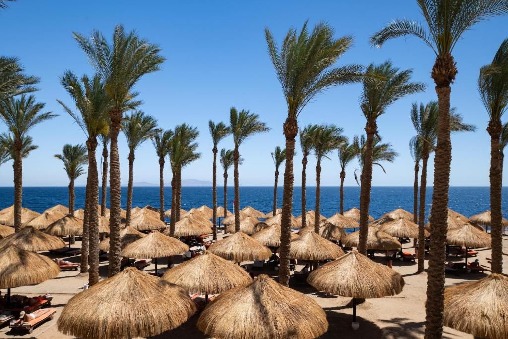 The Grand Hotel Sharm El Sheikh фото 217