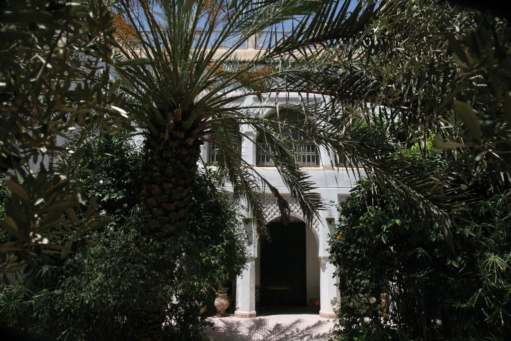Riad Ifoulki фото 7