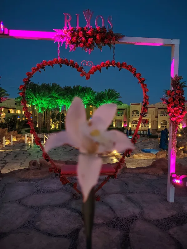 Rixos Sharm El Sheikh (Adults Only) фото 84