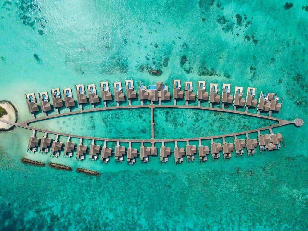 Sirru Fen Fushi - Private Lagoon Resort фото 94