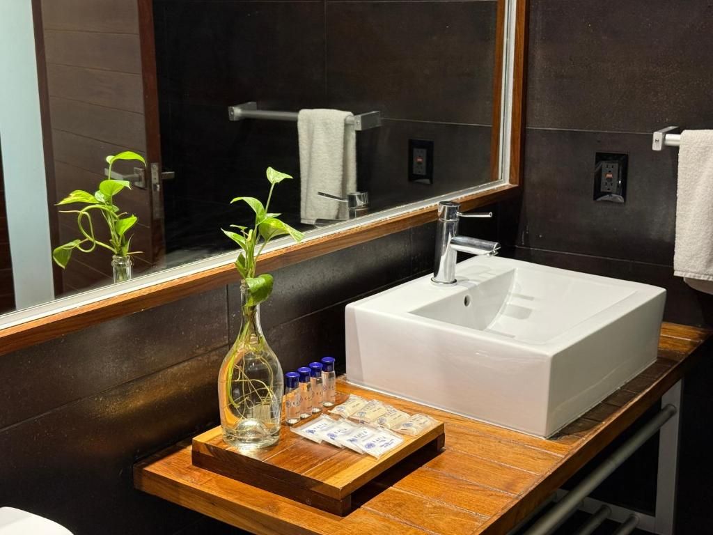 Reina Roja Hotel - Adults Only фото 29
