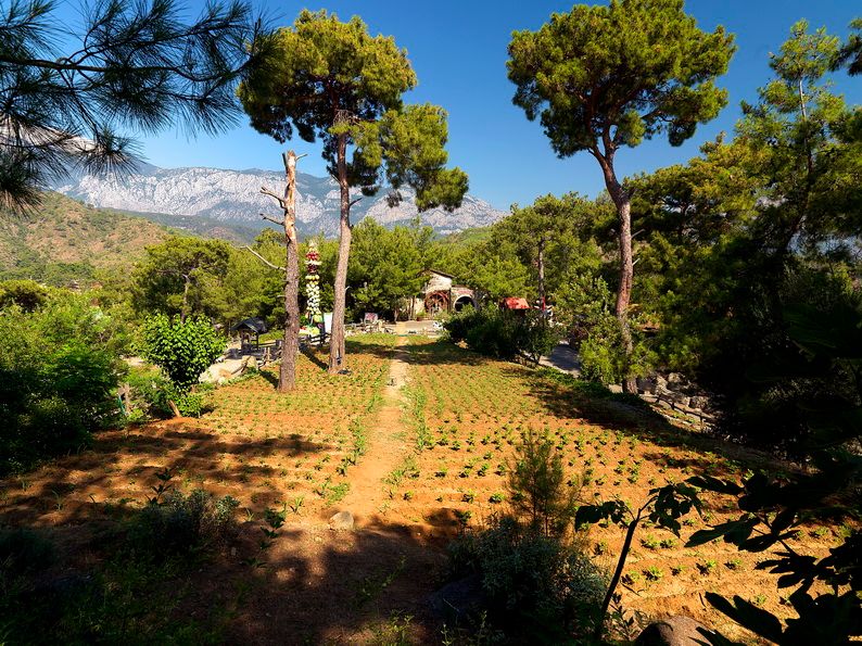 Holiday Area Farm Resort фото 3
