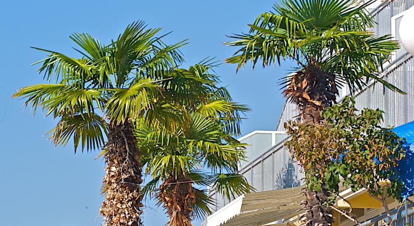 Splendid Pula Resort фото 4