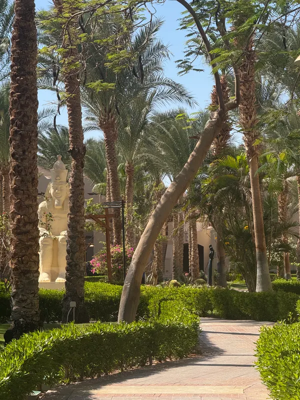 TUI Magic Life Redsina фото 90