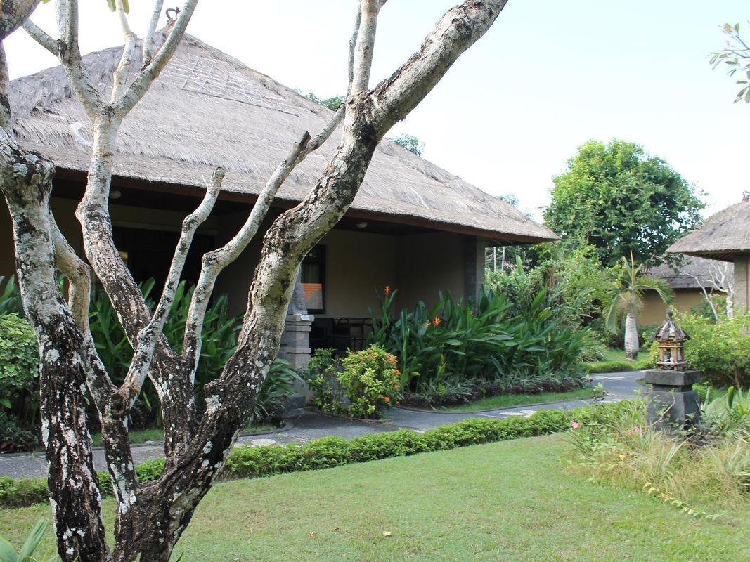 Matahari Terbit Bali фото 16