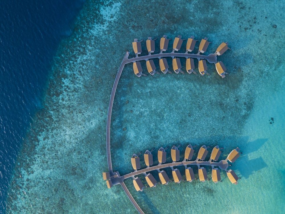 Centara Ras Fushi Resort & Spa Maldives (Adults Only) фото 106