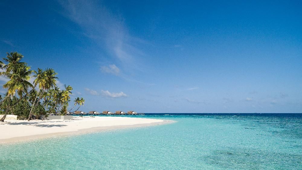 Park Hyatt Maldives Hadahaa фото 38